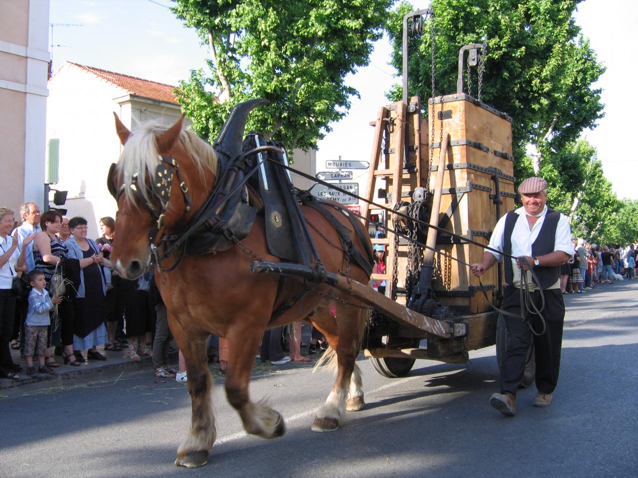 3-00_IMG_1106