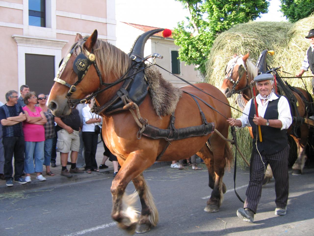 3-00_IMG_1110