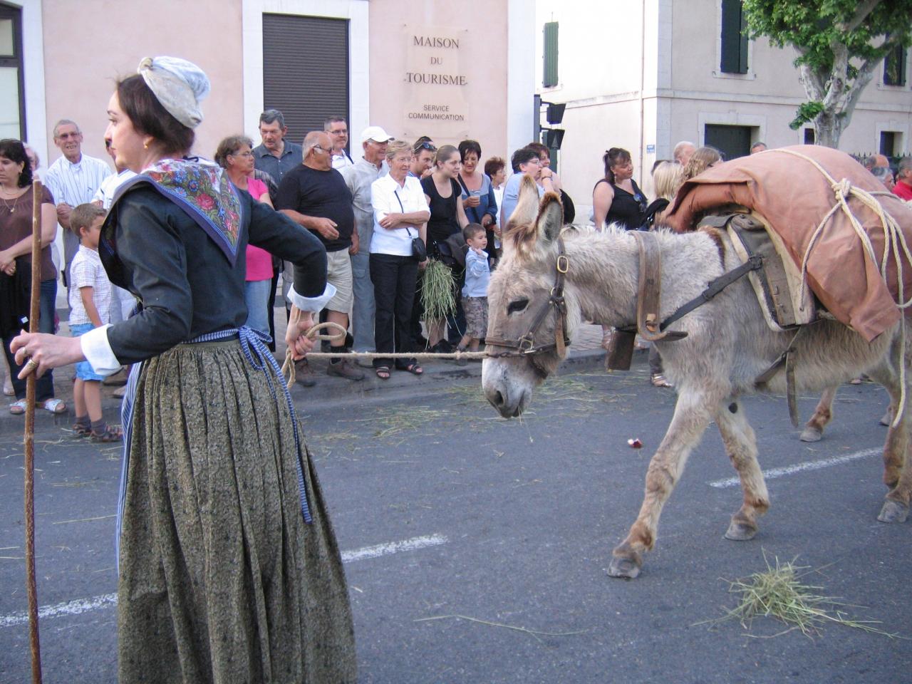 3-00_IMG_1111