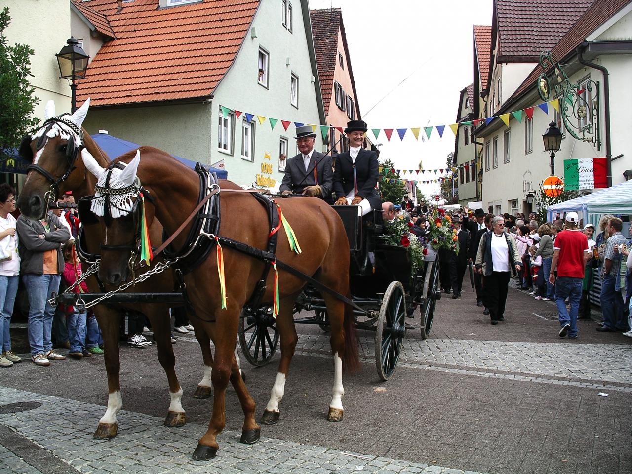 3-00_IMGP0137