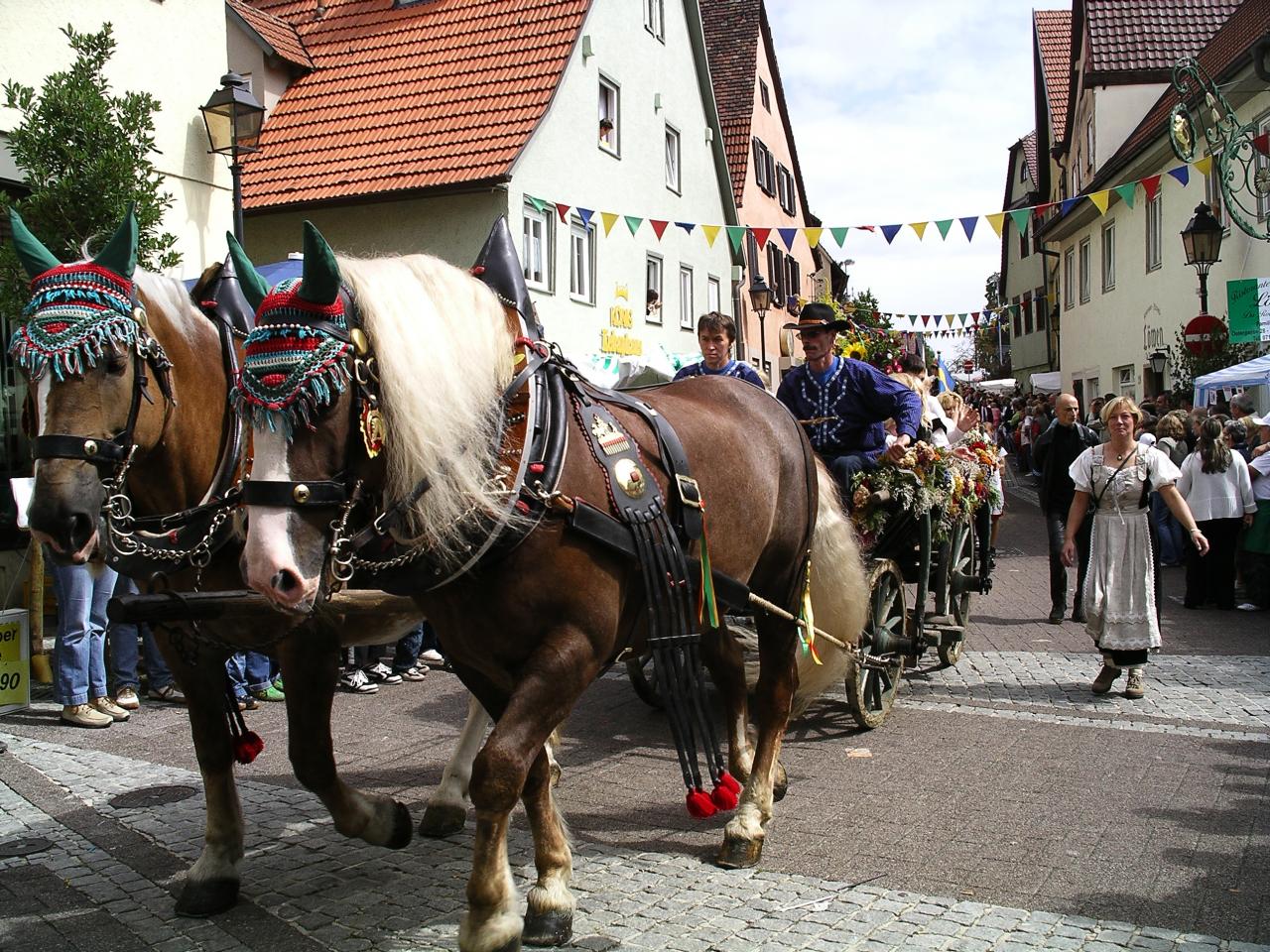 3-00_IMGP0161