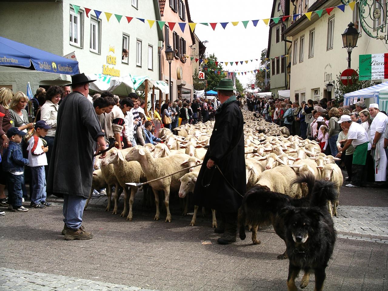 3-00_IMGP0165