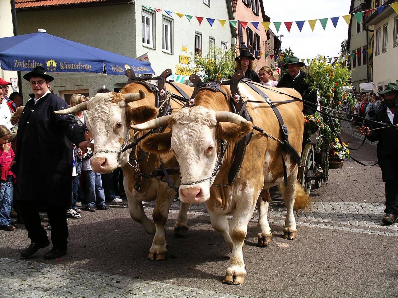 3-00_IMGP0168