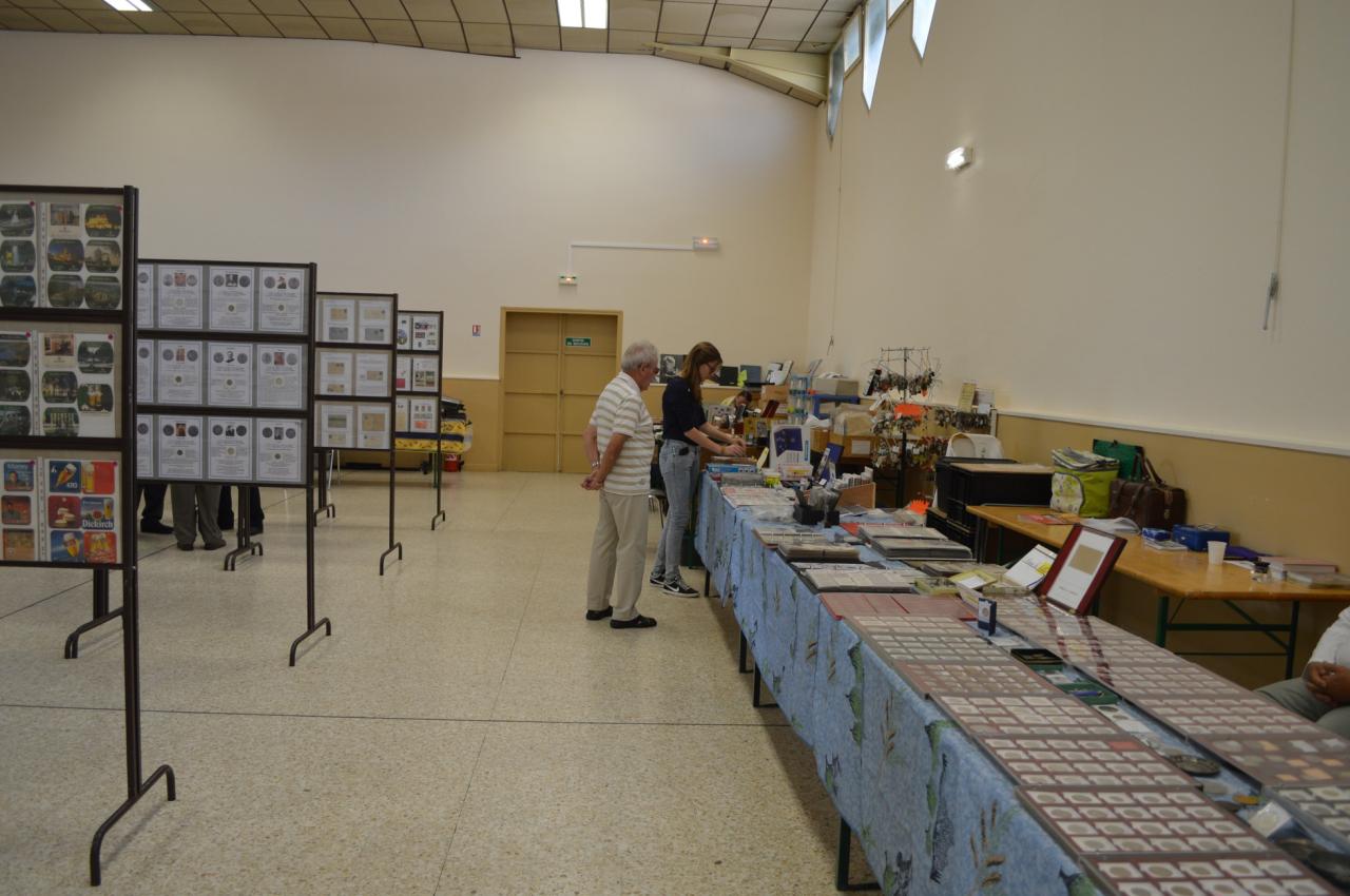 305-DSC_0517