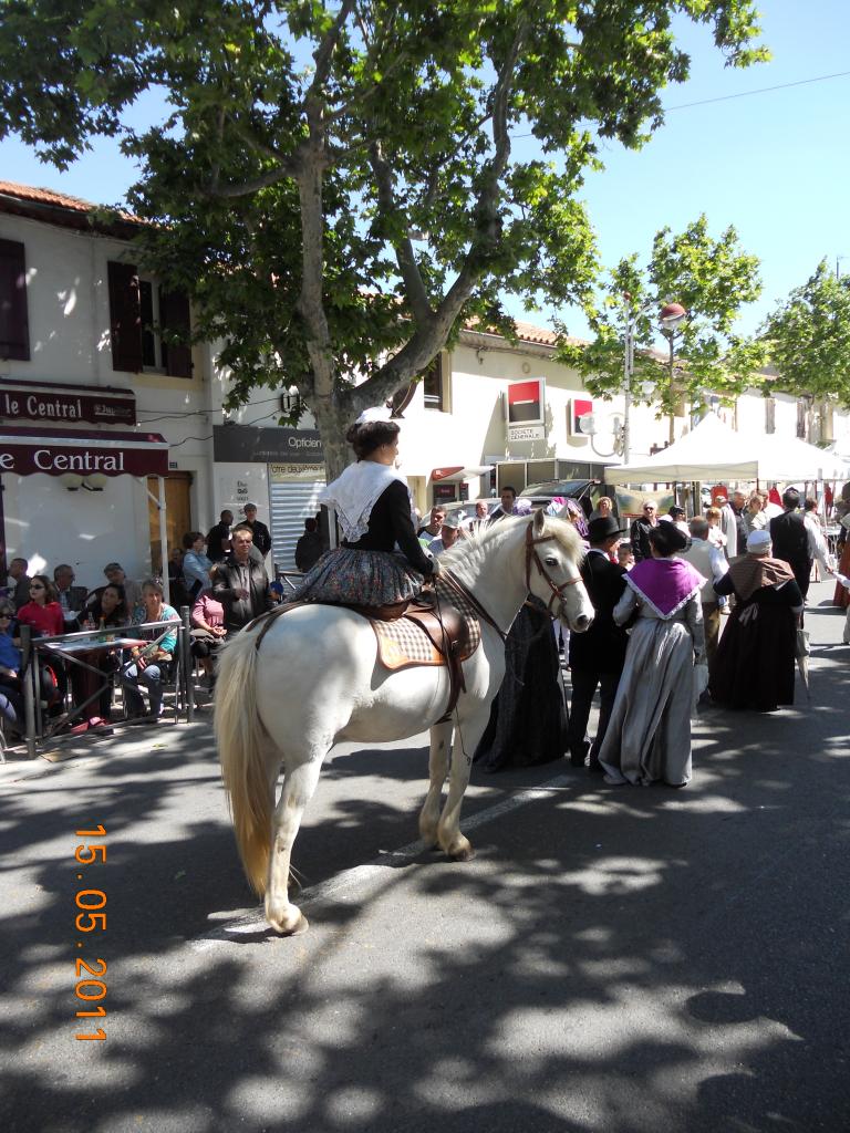 4-00_DSCN0769
