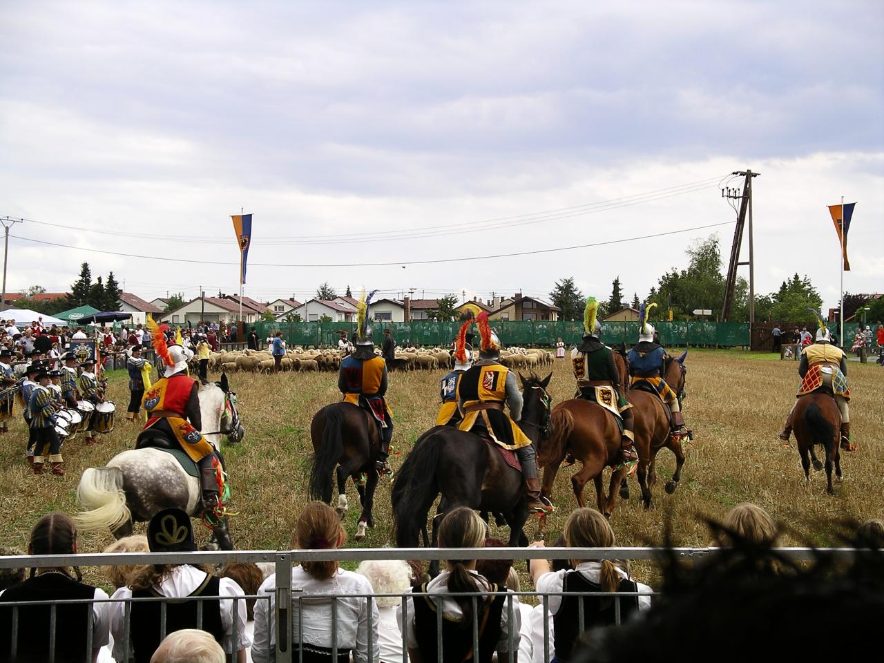 4-60_IMGP0117