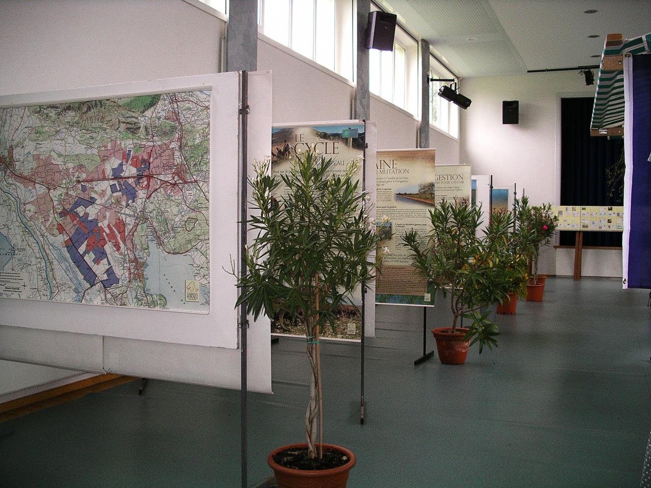 7-00_IMGP0085