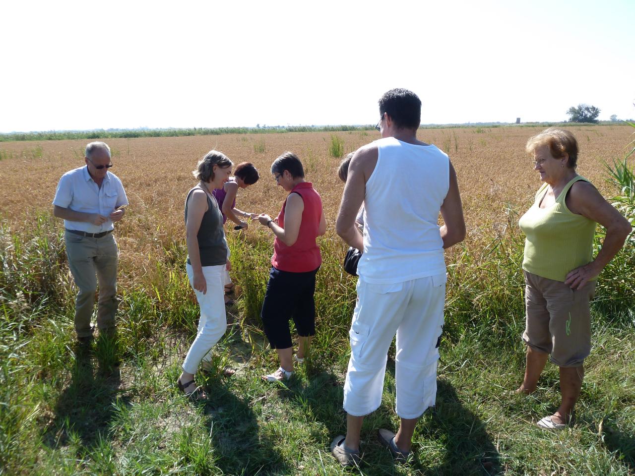 Camargue 02 oct 2011 (11)