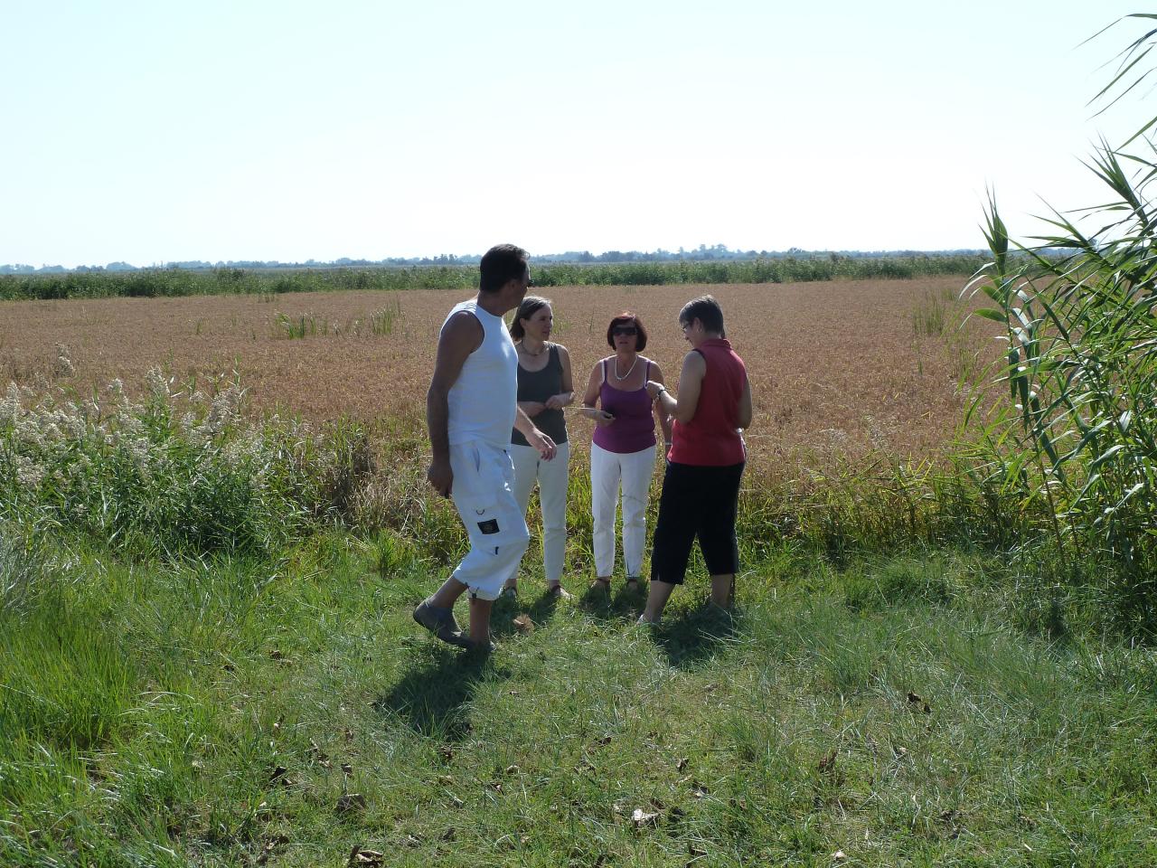 Camargue 02 oct 2011 (12)