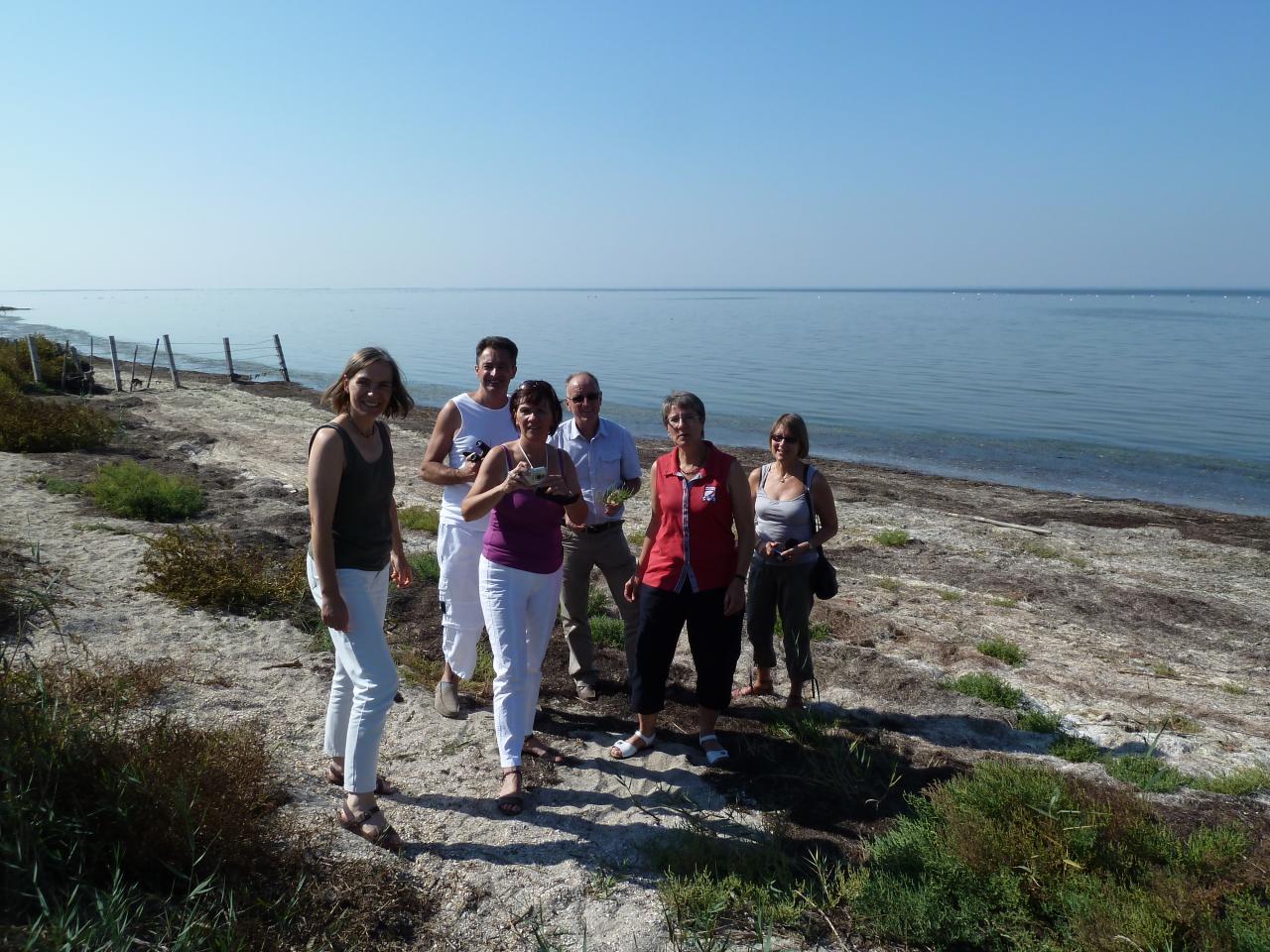 Camargue 02 oct 2011 (13)