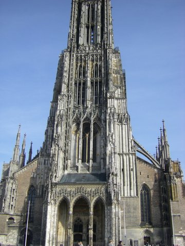 IMGP2423